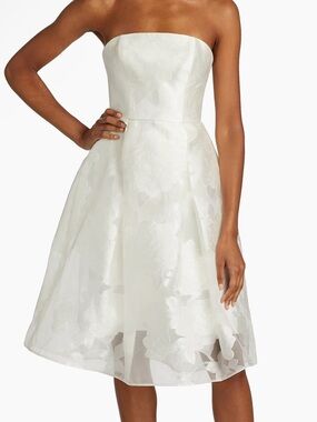 Amsale Women’s Rose Fil Coupe Fit-&-Flare Dress